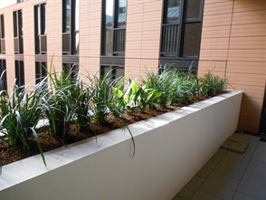 DSCN1081.JPG