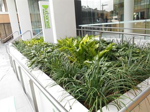 DSCN1127.JPG